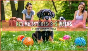 key milestones: 8–9 weeks