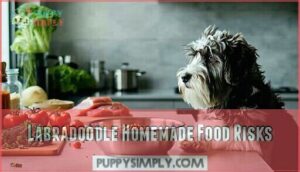 labradoodle homemade food risks