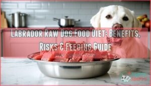 labrador raw dog food diet