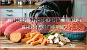 labrador retriever homemade food