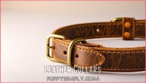 leather collars