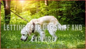 letting your dog sniff and explore