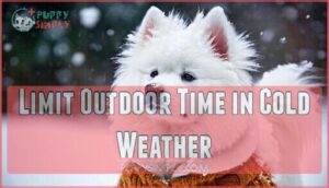 limit outdoor time in cold weather