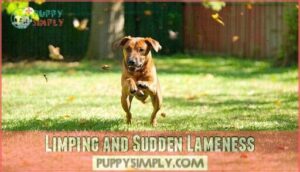 limping and sudden lameness
