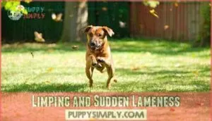 limping and sudden lameness limping and sudden lameness