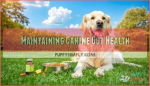 maintaining canine gut health