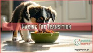 making the transition