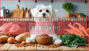 maltese homemade dog food
