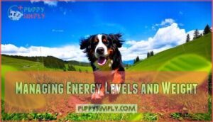 managing energy levels and weight