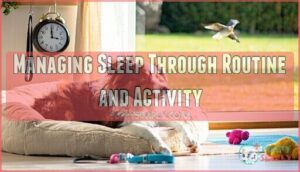 managing sleep through routine and activity
