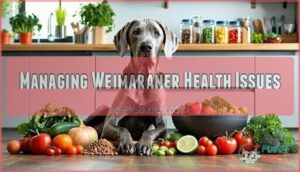 managing weimaraner health issues
