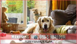 managing your dog’s boredom