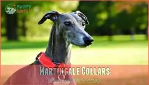 martingale collars