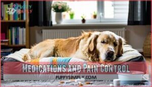 medications and pain control