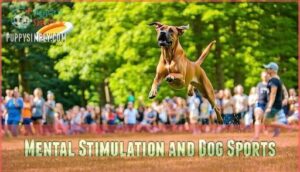 mental stimulation and dog sports