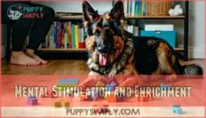 mental stimulation and enrichment