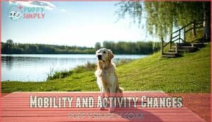 mobility and activity changes