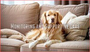 monitoring and supportive care