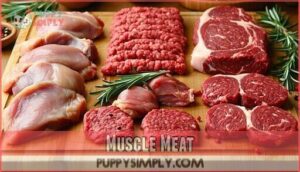muscle meat