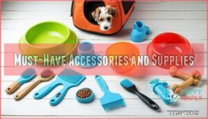 must-have accessories and supplies