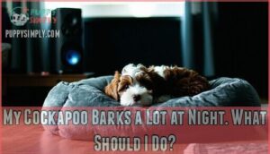 my cockapoo barks a lot at night. what should i do