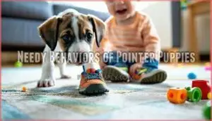 needy behaviors of pointer puppies