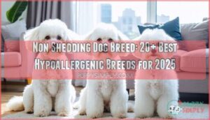 non shedding dog breed