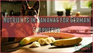 nutrients in bananas for german shepherds