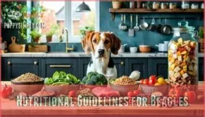 nutritional guidelines for beagles