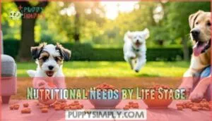 nutritional needs by life stage