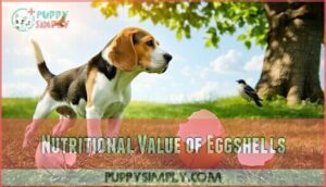 nutritional value of eggshells