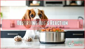 observing dog's reaction
