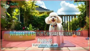 outdoor lifestyle considerations for poodles