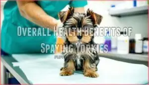 overall health benefits of spaying yorkies