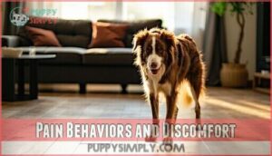 pain behaviors and discomfort