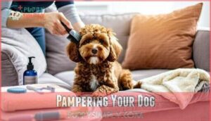 pampering your dog