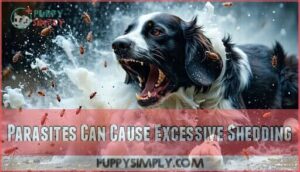 parasites can cause excessive shedding