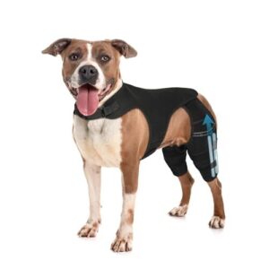 Pawfun Dog Knee Brace for B0FK2W78KM