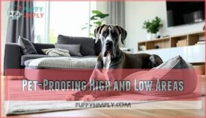 pet-proofing high and low areas