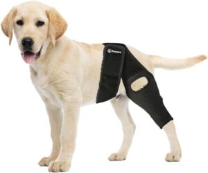 PetCove Dog Knee Brace for B0FKHJH4HR