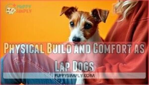 physical build and comfort as lap dogs