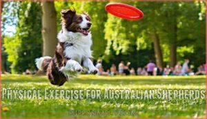 physical exercise for australian shepherds