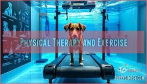 physical therapy and exercise