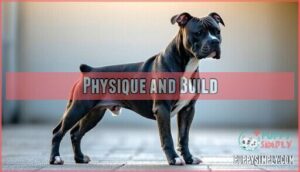 physique and build
