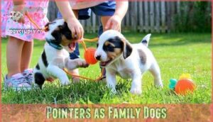 pointers as family dogs