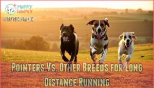 pointers vs. other breeds for long distance running