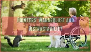 pointers' wanderlust and distractability