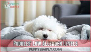 poodles' low allergen levels