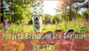 popular brands in dog training collars