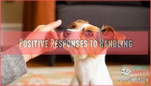 positive responses to handling